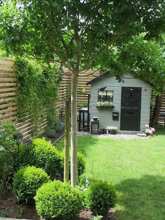 a small yet elegant backyard garden with a grene lawn, some shrubs and a tree plus a wall with climbing greenery