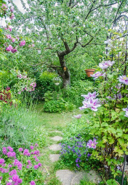 a small yet very lush garden with lots of greenery, grass, colorful blooms, shrubs and a large tree in the center