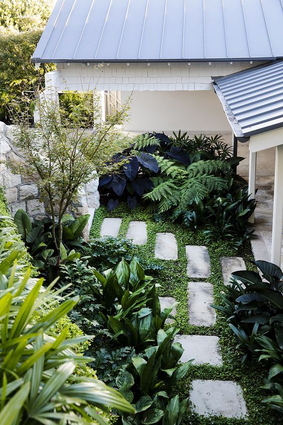 a tiny garden nook with greenery, lots of various shrubs and a small tree plus stone paves