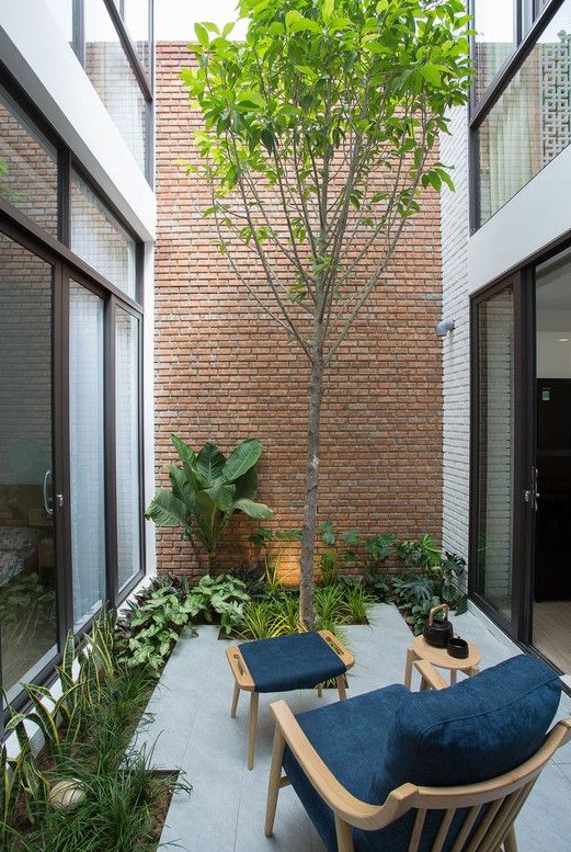 a tiny inner yard with a bit of greenery, a living tree and a stylish navy chair and a footrest plus a side table