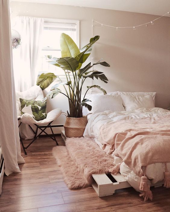 a welcoming contemporary bedroom with blush walls, blush and white bedding, a pink rug, a statement potted plant and tropical pillows