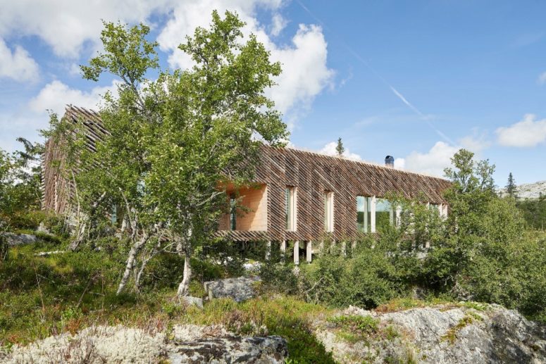 This cabin in Norway is made entirely of wood and is raised 1.5 meters above the ground to keep it warmer and let animals pass under the house