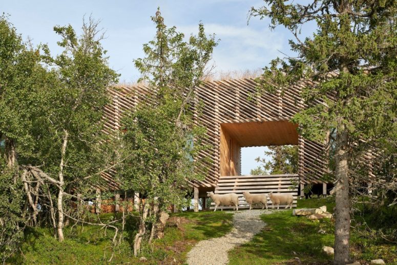 The roof is covered with sod and there are vast glazed areas to let natural light in