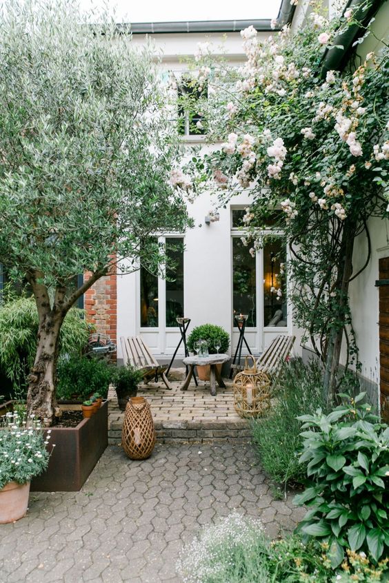 a simple modern backyard with wooden furniture, some candles in large candle lanterns and trees and blooms