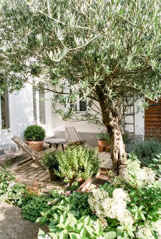 a small and cozy backyard with a brick clad space, some wooden chairs and lots of greenery and a tree around