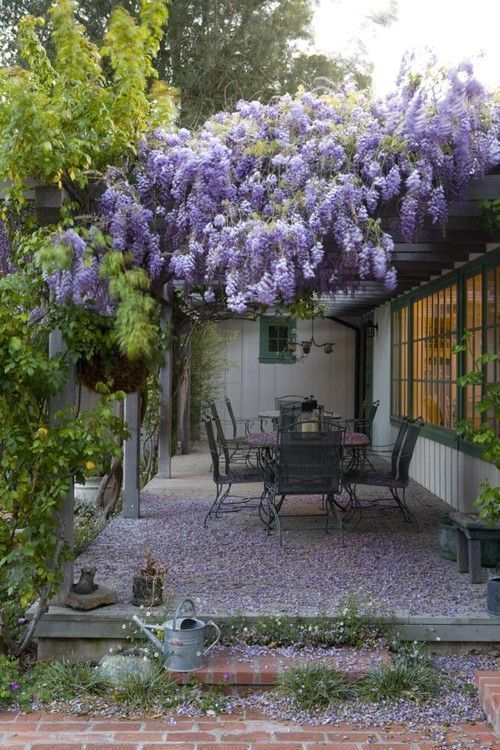 a small backyard covered with wisteria and with an elegant vintage dining set plus greenery around is amazing