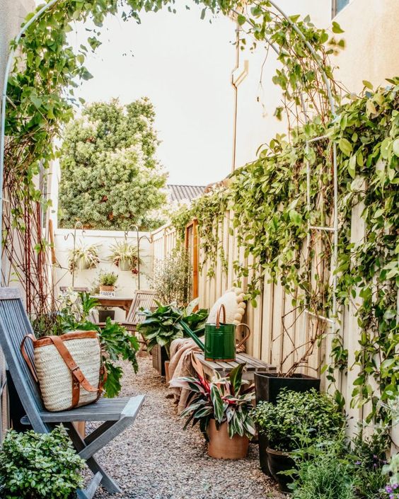 a small backyard turned into a decret garde with a living wall, some climbing plants and potted ones, a wooden dining set, some folding chairs