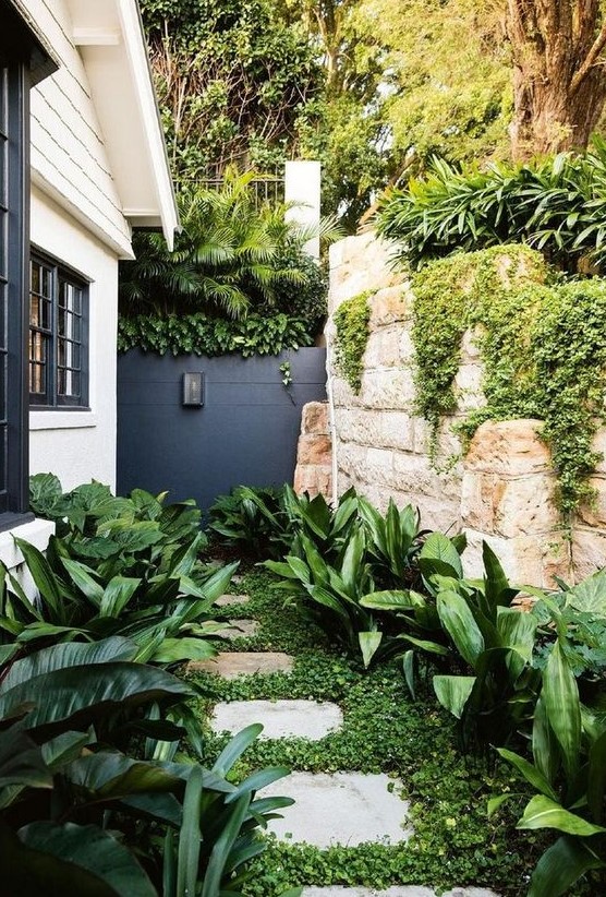 a small modern garden nook with greenery, some lush tropical shrubs on both sides of the pavement
