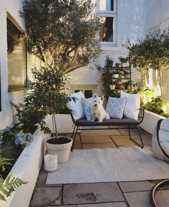 a small patio with a stone deck, a modenr bench, potted plants and blooms and lights along the patio