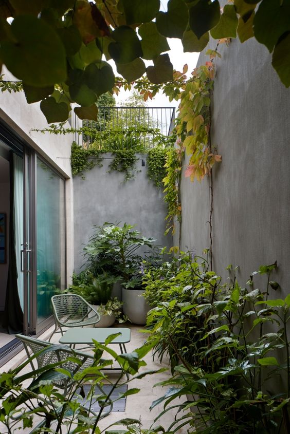 a tiny contemporary backyard filled with greenery and trees, with just a table and two chairs to have a drink