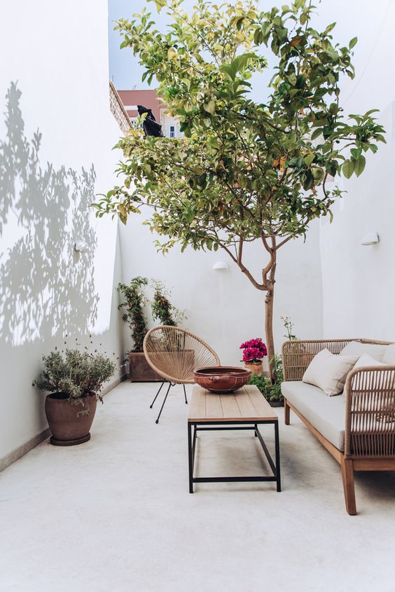 an all-white patio with tall walls, some rattan furniture, a coffee table, a living tree, some potted greenery and blooms