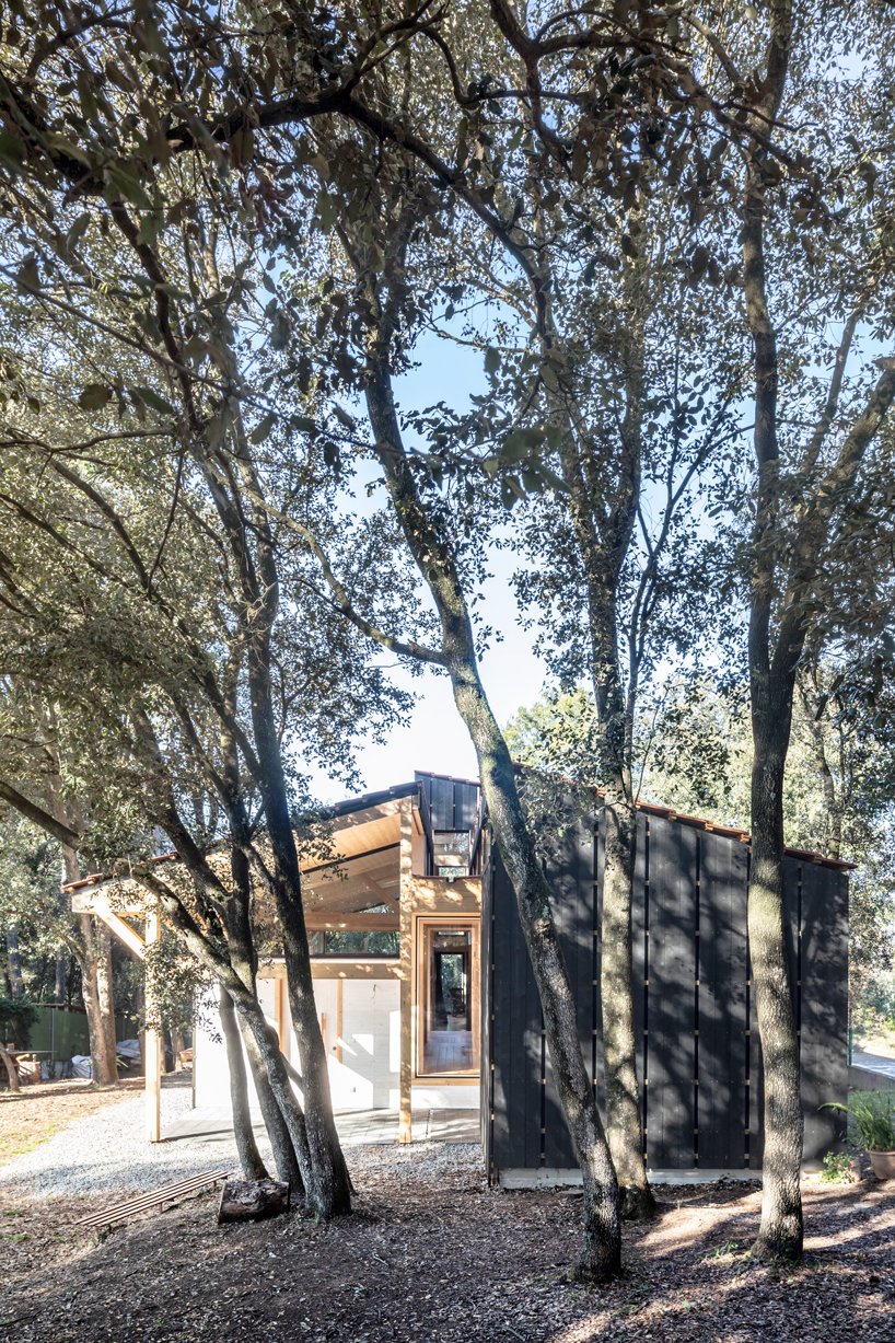 The house is in pure harmony with the trees around and its' cohesive in the space