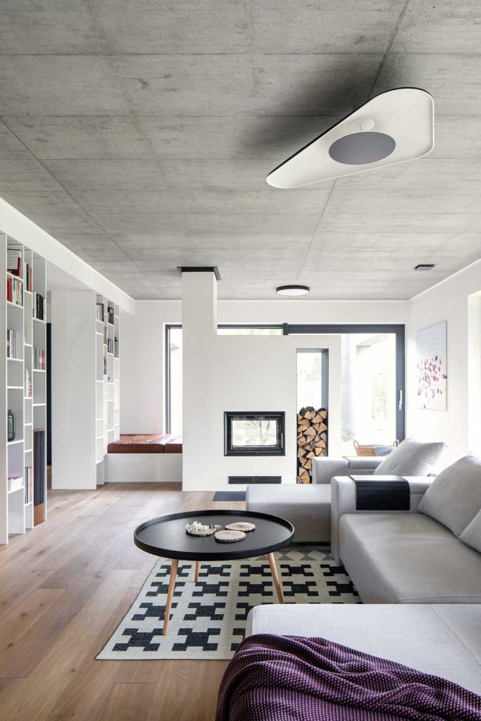 a living room with firewood storage and a fireplace The living room features a multifunctional grey sofa, a glass fireplace with firewood and built-in wooden shelves