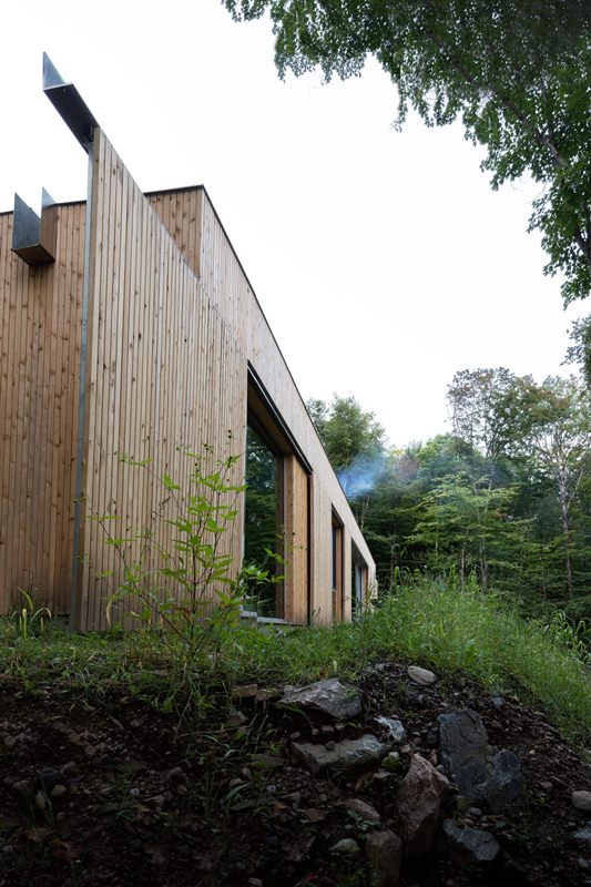 The cedar will weather and change its look, color and texture after some time to blend the surroundings