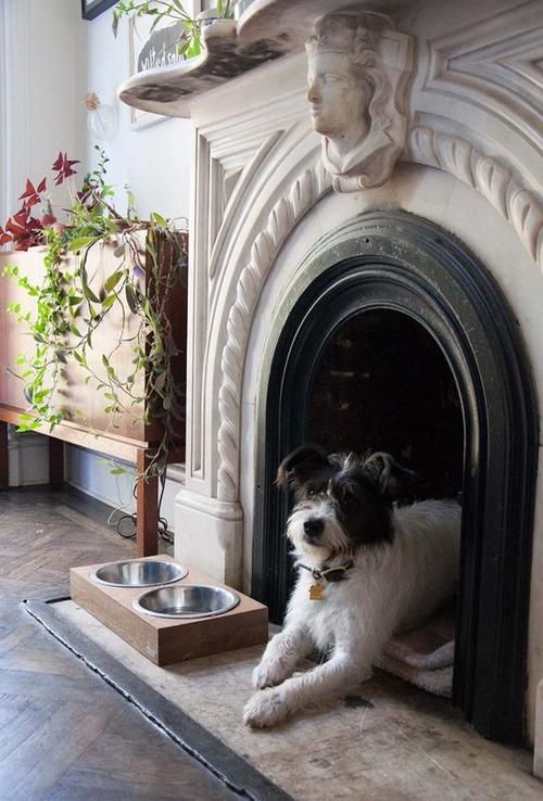 a refined vintage fireplace with a dog bed inside and some bows next to it is a very stylish and chic idea to rock