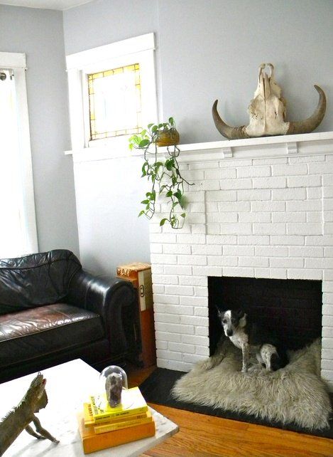 a white faux brick fireplace with a cozy fuzzy dog bed inside it is a great way to use a non-working fireplace