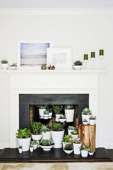 a fireplace with a whole potted succulent arrangement in it, green candles and artwork on the mantel is lovely