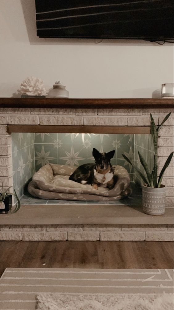 a fireplace with some light and a dog bed is a genius way to use a fireplace that is not working