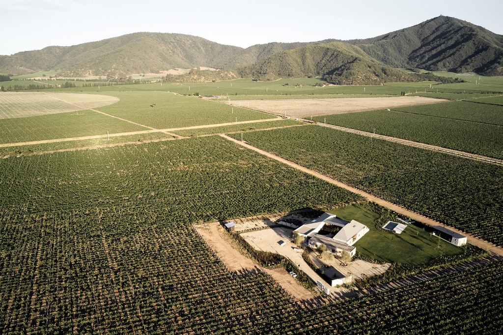 The house sits in the middle of a vineyard