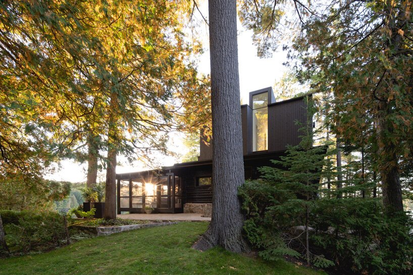 Glazed spaces, large windows and skylights were made to catch the light coming inside