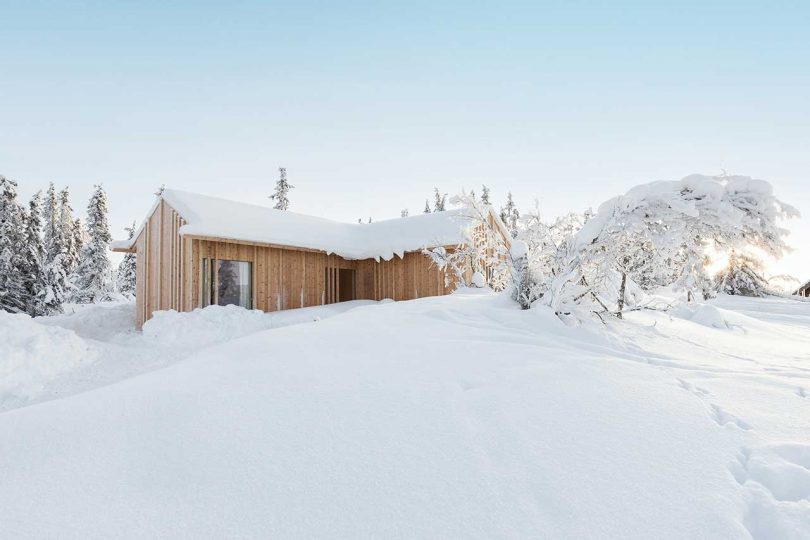 Large windows and glazings bring much light inside and allow for amazing views