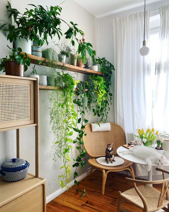 a welcoming and cozy nook with open shelves with various plants and vines and potted yellow tulips is very cozy