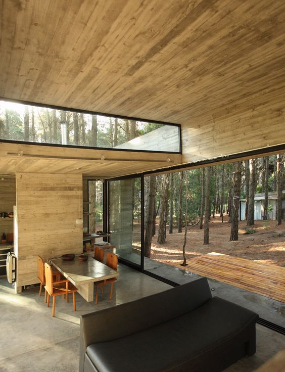 a contemporary cabin with a glazed wall and a clerestory window for more light and views and minimalist furniture