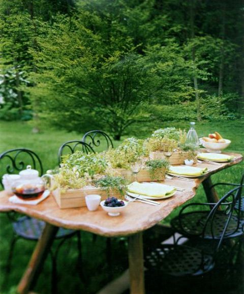 a cool dining area with a live edge table and matching metal chairs is a very cozy and cool idea