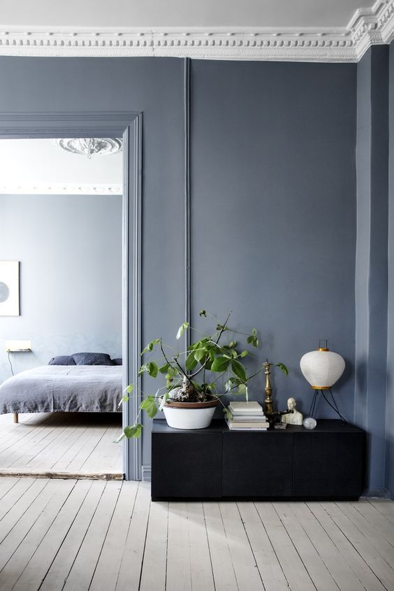 a minimalist space with blue walls, a black cabinet, potted greenery and a minimal bedroom with blue walls