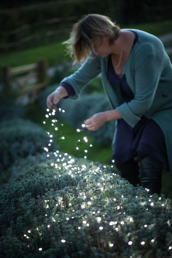 placez des guirlandes lumineuses directement sur les plantes pour éclairer votre jardin et lui donner un aspect magique en même temps.