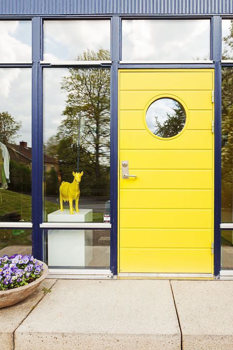 a modern colorful entrance with a yellow door and a glazed wall with navy frames, potted blooms and decor inside the house