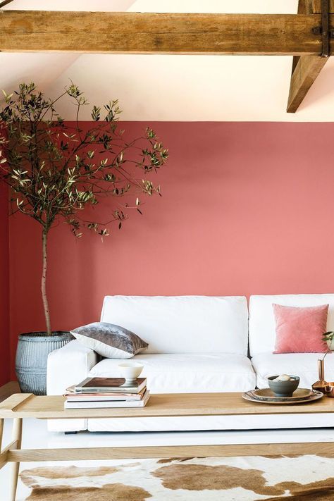 a welcoming living room with a pink accent wall, wooden beams, a white sofa, a long coffee table, a cowhide rug and a potted tree looks fresh