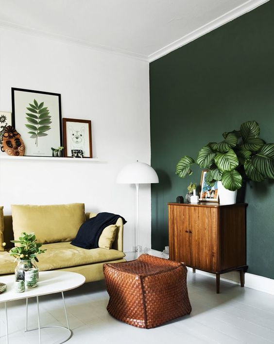 Green Accent Walls