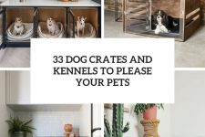 33 dog crates and kennels to please your pets cover