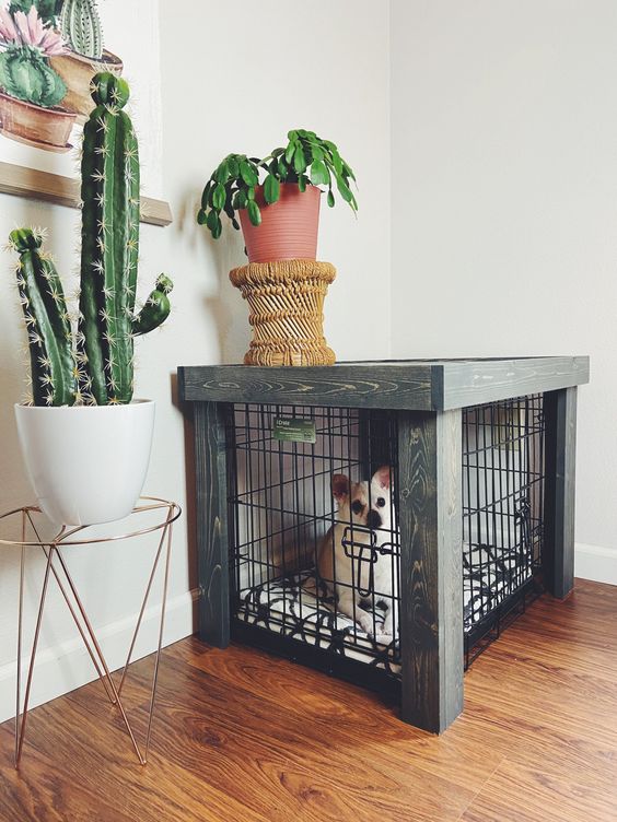 a small and cute dog crate with a dark stained frame doubles as a plant stand and matches the room decor