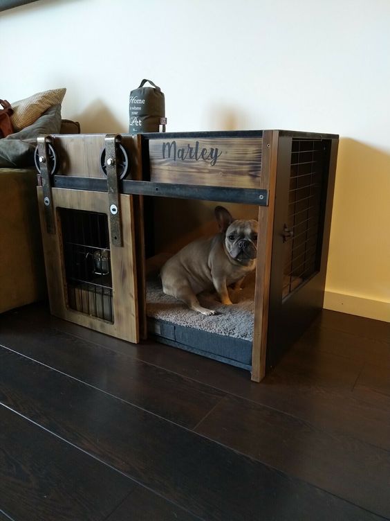 cool dog crates