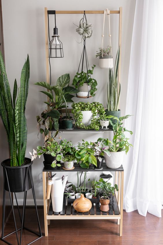 a stylish Scandinavian ladder plant stand with various black and white planters and lots of greenery plus a hanging lamp is amazing