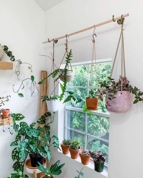 enliven your space with potted plants, if your windowsill is small, go for hanging planters and enjoy the look of your space