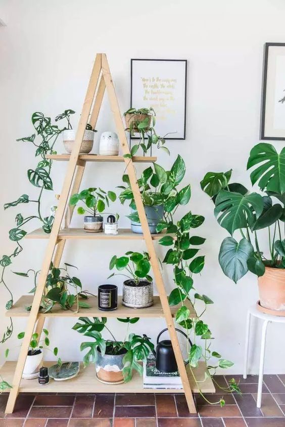 a simple ladder with potted plants and candles is a lovely decoration for a modern, boho or some other space and feels fresh