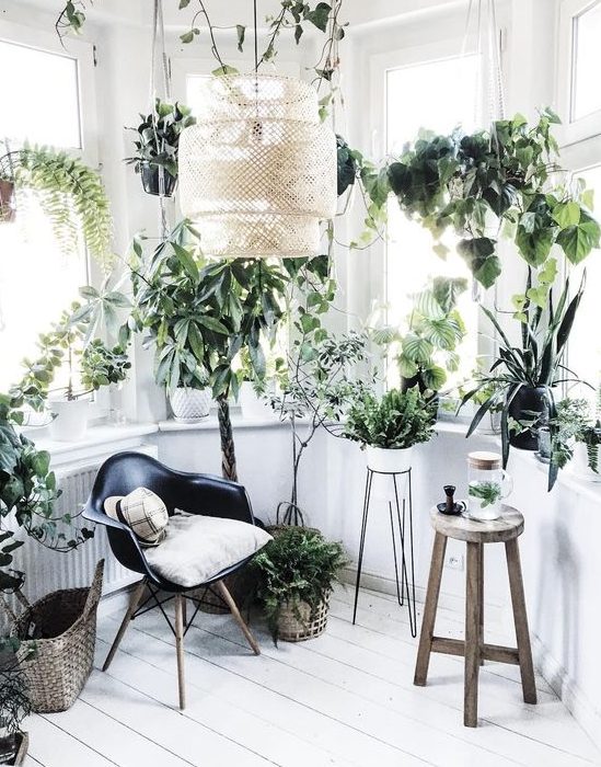 a minimalist biophilic space done in white, with many windows for natural light and potted plants all over