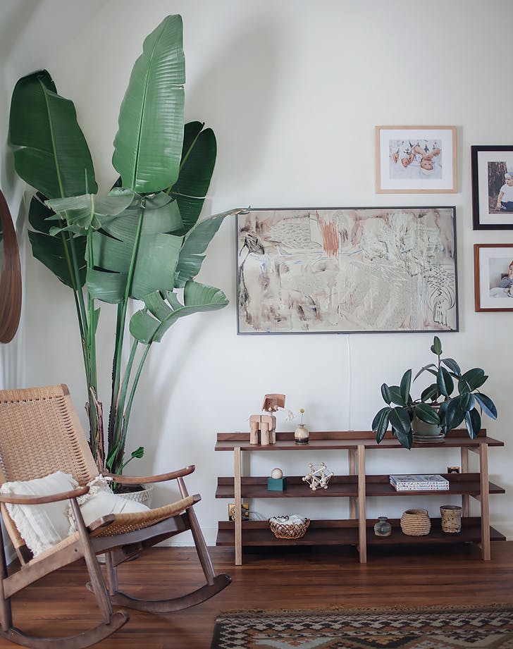 tropical leaves add a nice touch to any interior