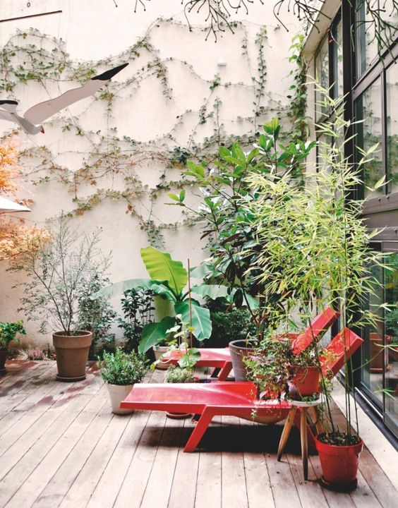 a modern terrrace with a deck, red loungers, potted plants and trees and vines covering the wall