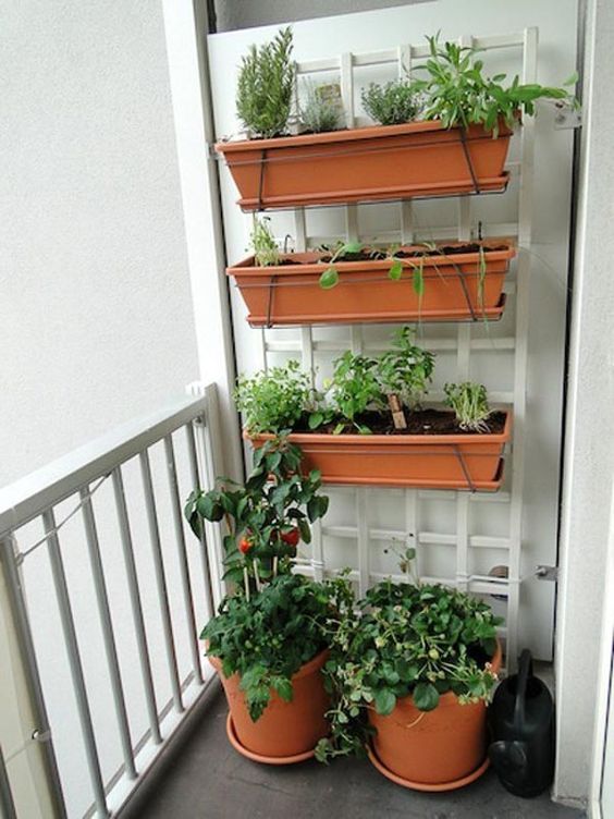 a balcony garden composed of a couple of planters on the floor and a tiered vertical planter on the wall lets you have fresh veggies and herbs