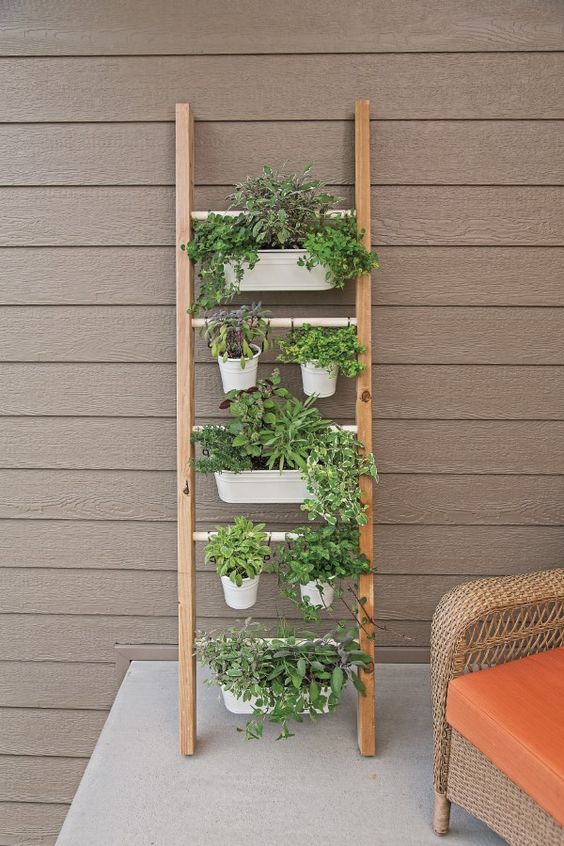 a ladder with metal holders and planters hanging on them, with herbs and greenery is a smart and cool solution for a space