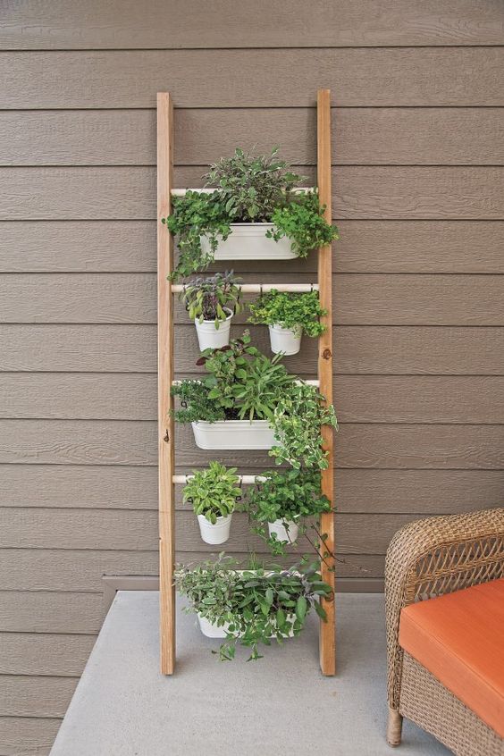 a ladder with metal holders and planters hanging on them, with herbs and greenery is a smart and cool solution for a space a ladder with metal holders and planters hanging on them, with herbs and greenery is a smart and cool solution for a space