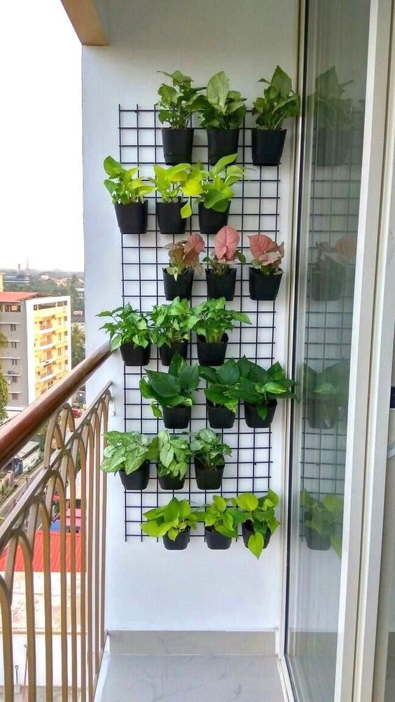 a simple metal grid and black planters, with lots of foliage is a great decoration for a small balcony, and a cool way to refresh it