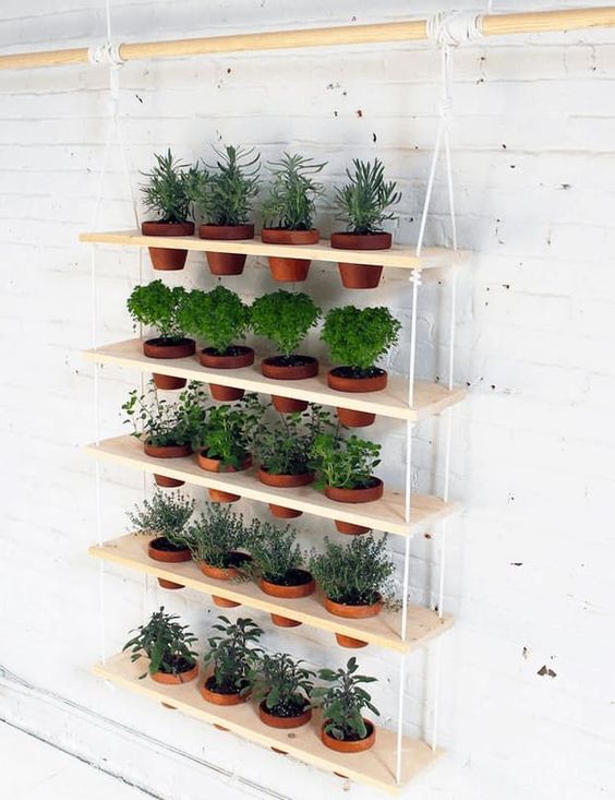 a tiered vertical garden with terracotta planters is a lovely idea for a rustic space or a modern one, will fit any outdoor and indoor space