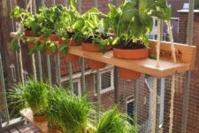 a cool vertical garden on a balcony