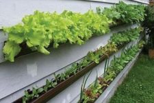 12 a gutter garden attached to the wall is ideal to grow some herbs if you have no space in the garden at all