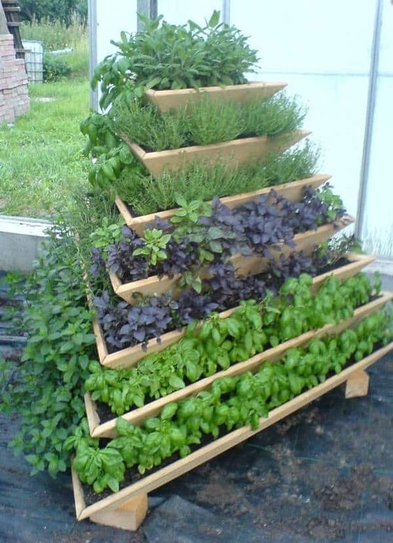 a pyramid tiered wooden planter is ideal to grow herbs or blooms, it will add interest to your outdoor space and make it more welcoming a pyramid tiered wooden planter is ideal to grow herbs or blooms, it will add interest to your outdoor space and make it more welcoming
